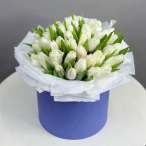 Букет из 49 белых тюльпанов в синей коробке в Москве