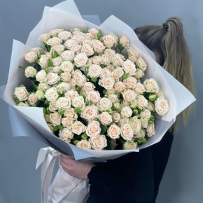Букет из 25 кремовых кустовых роз (70 см) в Москве