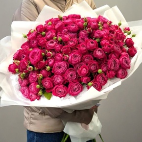Букет из 35 малиновых пионовидных кустовых роз (80 см) в Москве