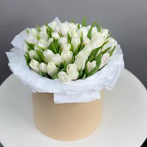 Букет из 49 белых тюльпанов в кремовой коробке в Москве