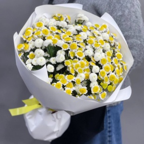 Букет "Твоя улыбка затмевает всех" из 25 сантини Ньютон и Сан Ап в Москве