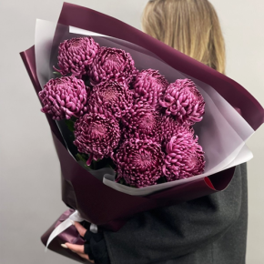 Букет "Изобилие" из 11 винных хризантем Бигоуди в Москве