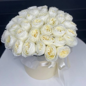 Композиция в шляпной коробке из 35 белых пионовидных роз Эквадор в Москве