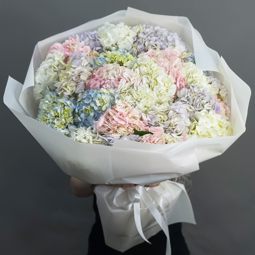 Букет из 23 гортензий микс в Москве Букет из 23 гортензий микс в Москве