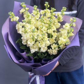 Букет из 15 лимонных маттиол в Москве