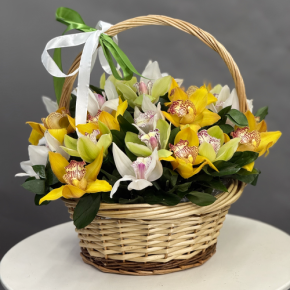 Композиция в корзине из 25 орхидей микс в Москве