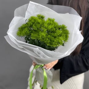 Букет из 7 диантусов люкс Грин Тик в Москве