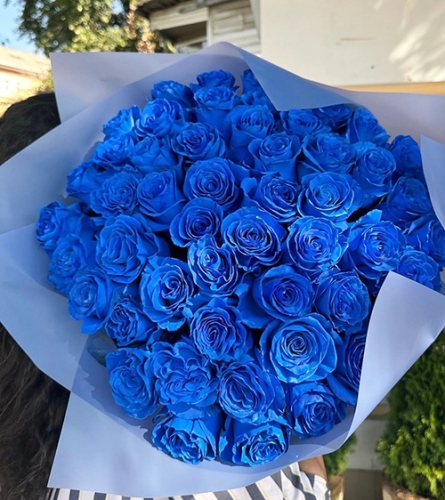Букет из 51 синей розы Эквадор (60 см) в Москве