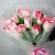 Букет "Фламинго" из 11 пионовидных тюльпанов в Москве