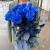 15 синих LUX роз Эквадор (70 см) в Москве 15 синих LUX роз Эквадор (70 см) в Москве