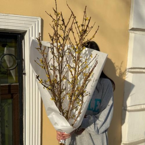 Интерьерные ветки форзиции ( 3 шт 80-90 см) в Москве