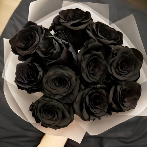 Букет "Черная королева" из 11 черных роз Эквадор (60 см) в Москве