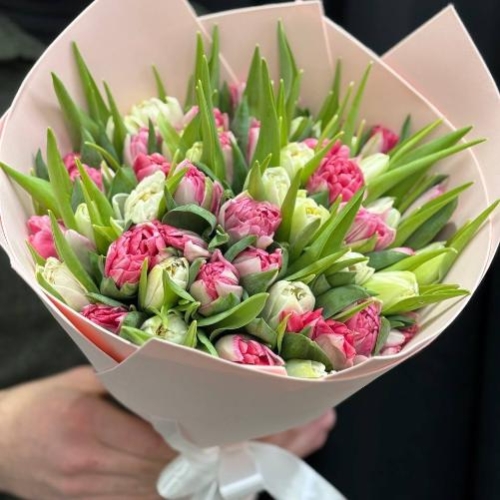 Букет из 51 бело-розового пионовидного тюльпана в Москве