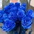 15 синих LUX роз Эквадор (70 см) в Москве 15 синих LUX роз Эквадор (70 см) в Москве