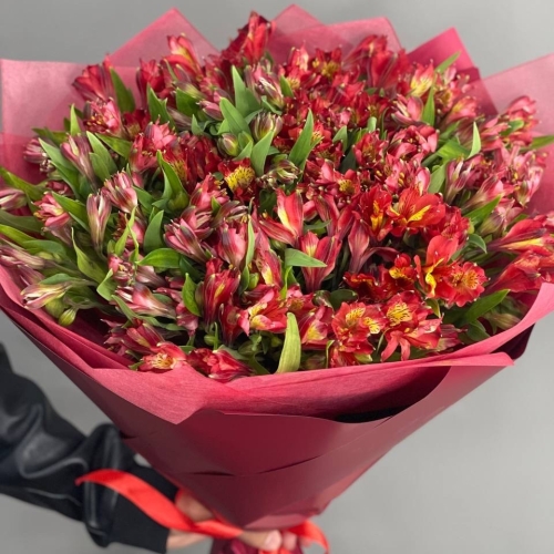 Монобукет из 25 красных альстромерий в Москве