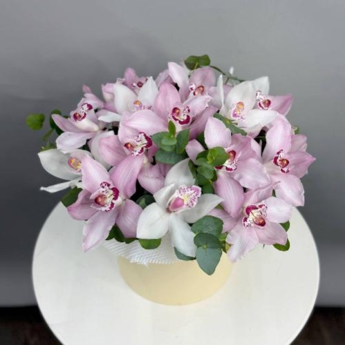 Композиция в коробке из 17  орхидей в Москве