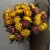 Букет "Тигровый" из 23 хризантем Бигоуди в Москве