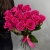 Букет из 15 роз Эквадор Пинк Флоид (60см) в Москве Букет из 15 роз Эквадор Пинк Флоид (60см) в Москве