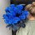 15 синих LUX роз Эквадор (70 см) в Москве 15 синих LUX роз Эквадор (70 см) в Москве