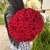 Букет 51 красной розы 50 см в Москве Букет 51 красной розы 50 см в Москве