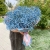 Букет "Голубое облако" из 25 гипсофил в Москве Букет "Голубое облако" из 25 гипсофил в Москве