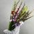 Букет из 25 гладиолусов микс в Москве
