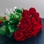 Букет 19 красных роз (50 см) в Москве