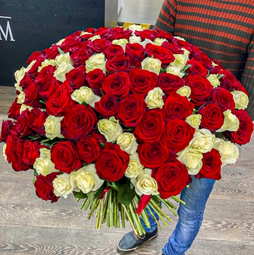 Букет 151 роза красный и белый микс (60 см) в Москве