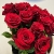 Букет из 15 роз Эквадор Эксплорер в Москве