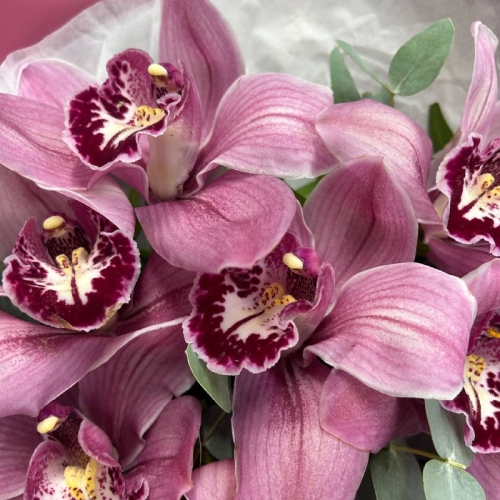 Монобукет из 7 фиолетовых орхидей с эвкалиптом в малиновой упаковке в Москве