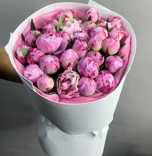 Букет из 29 пионов Сара Бернар в Москве