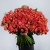 Объемный букет "Сияние заката" из 55 кустовых роз (70 см) в Москве Объемный букет "Сияние заката" из 55 кустовых роз (70 см) в Москве