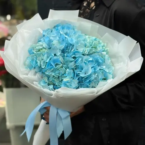Букет из 5 голубых гортензий в нежной упаковке в Москве