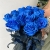 15 синих LUX роз Эквадор (70 см) в Москве 15 синих LUX роз Эквадор (70 см) в Москве