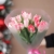 Букет "Фламинго" из 11 пионовидных тюльпанов в Москве