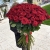 Букет из 101 красной розы (90 см) в Москве