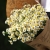 Букет из 9 ромашек танацетум в Москве Букет из 9 ромашек танацетум в Москве