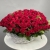 Композиция в корзине из 75 красных роз в Москве