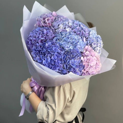Букет из 9 Голландских гортензий в Москве