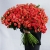 Объемный букет "Сияние заката" из 55 кустовых роз (70 см) в Москве Объемный букет "Сияние заката" из 55 кустовых роз (70 см) в Москве