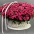 Композиция в корзине из 101 кустовой малиновой розы  в Москве