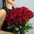 Букет из 25 роз Эквадор Ред Пантер (60 см) в Москве