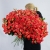 Объемный букет "Сияние заката" из 55 кустовых роз (70 см) в Москве Объемный букет "Сияние заката" из 55 кустовых роз (70 см) в Москве