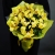 Букет из 13 лимонных орхидей в Москве