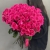Букет из 55 роз Эквадор Пинк Флоид (60 см) в Москве Букет из 55 роз Эквадор Пинк Флоид (60 см) в Москве