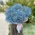 Букет "Голубое облако" из 25 гипсофил в Москве Букет "Голубое облако" из 25 гипсофил в Москве